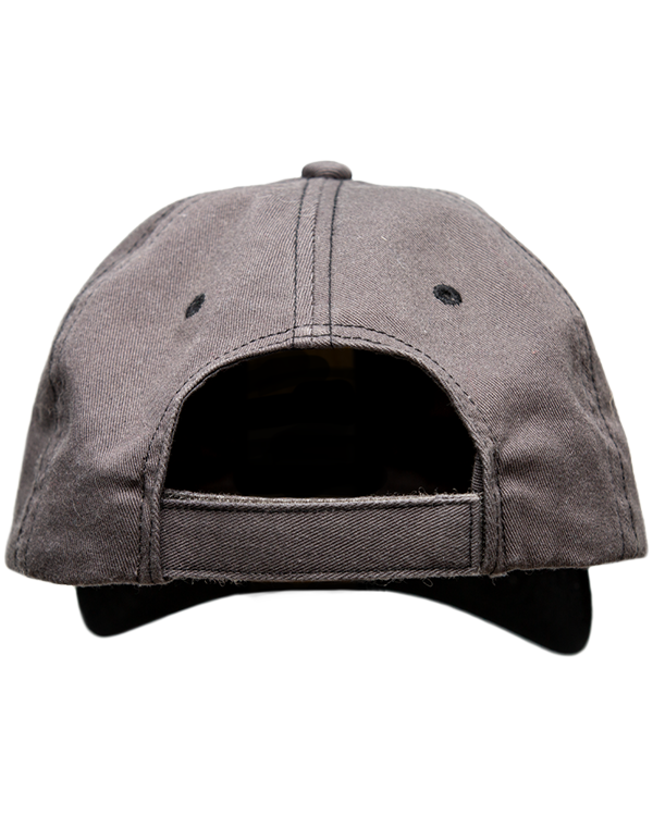 Logo Dad Hat